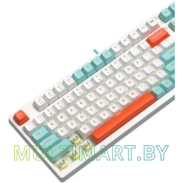 Клавиатура A4Tech Fstyler FS300 Panda Snorkeling картинка 19